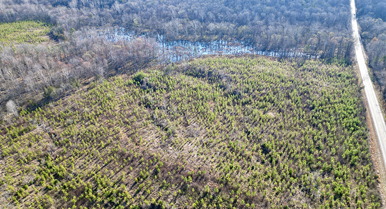 Holly Farms Road